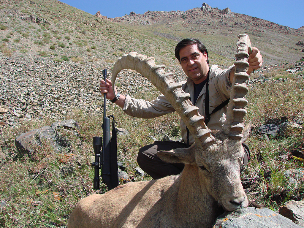 MONGOLIA IBEX